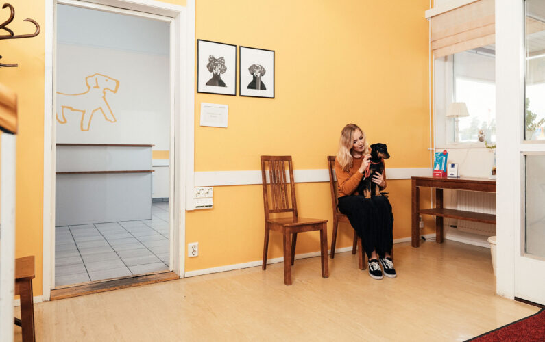 Taitavasti eläinlääkärissä -kurssi